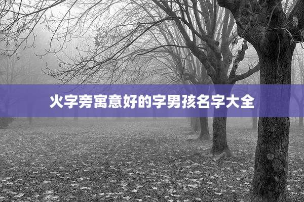火字旁寓意好的字男孩名字大全
