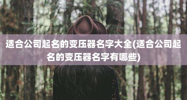 适合公司起名的变压器名字大全(适合公司起名的变压器名字有哪些)