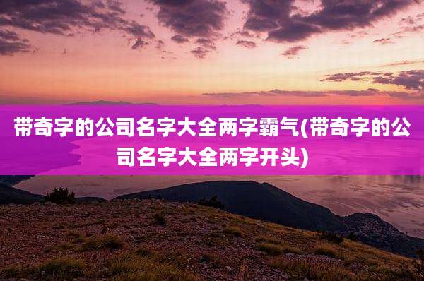 带奇字的公司名字大全两字霸气(带奇字的公司名字大全两字开头)