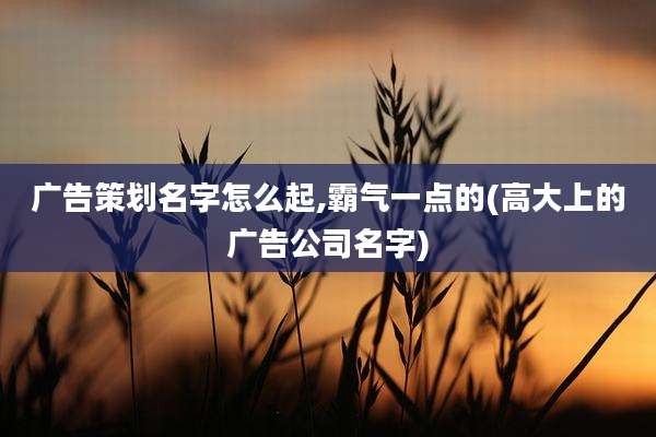 广告策划名字怎么起,霸气一点的(高大上的广告公司名字)