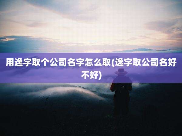 用逸字取个公司名字怎么取(逸字取公司名好不好)