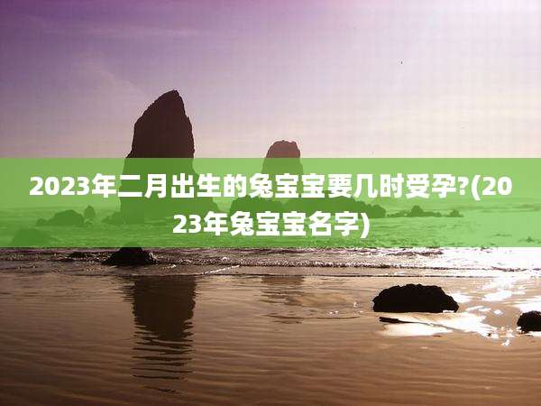 2023年二月出生的兔宝宝要几时受孕?(2023年兔宝宝名字)