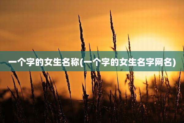一个字的女生名称(一个字的女生名字网名)
