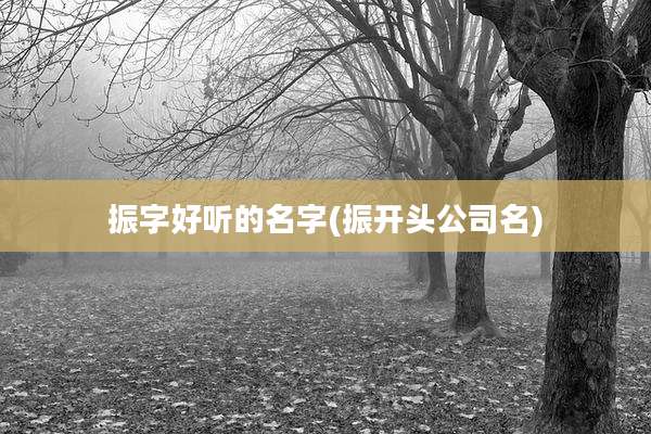 振字好听的名字(振开头公司名)