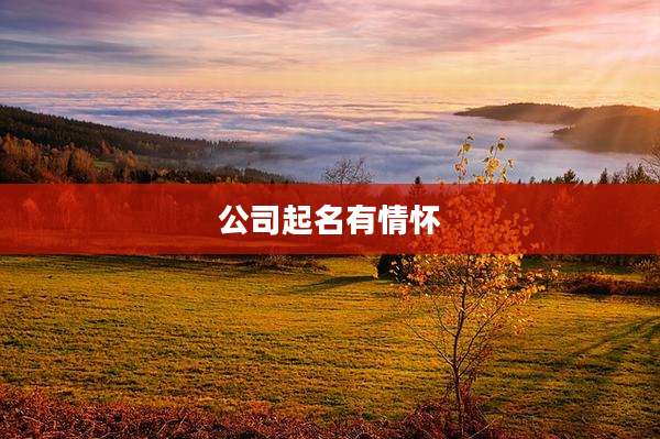 公司起名有情怀