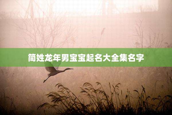 简姓龙年男宝宝起名大全集名字
