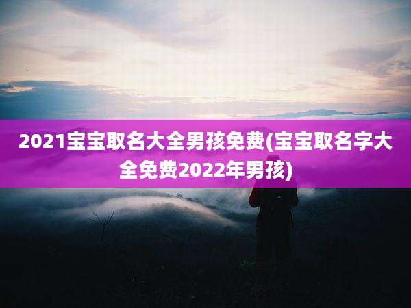2021宝宝取名大全男孩免费(宝宝取名字大全免费2022年男孩)