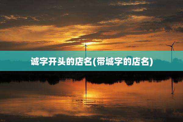 诚字开头的店名(带城字的店名)