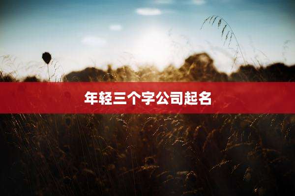 年轻三个字公司起名