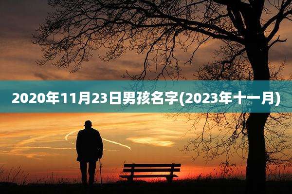 2020年11月23日男孩名字(2023年十一月)