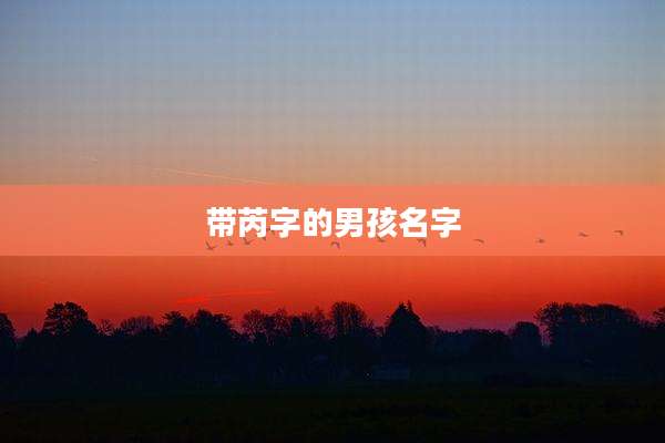 带芮字的男孩名字