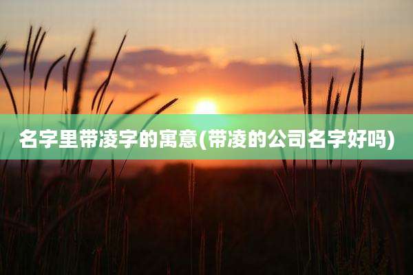 名字里带凌字的寓意(带凌的公司名字好吗)