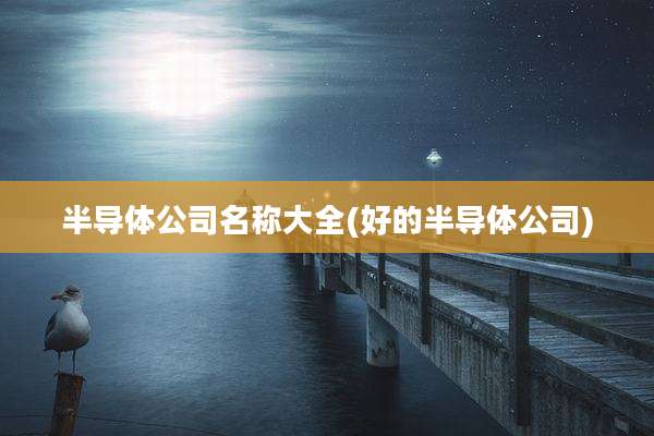 半导体公司名称大全(好的半导体公司)
