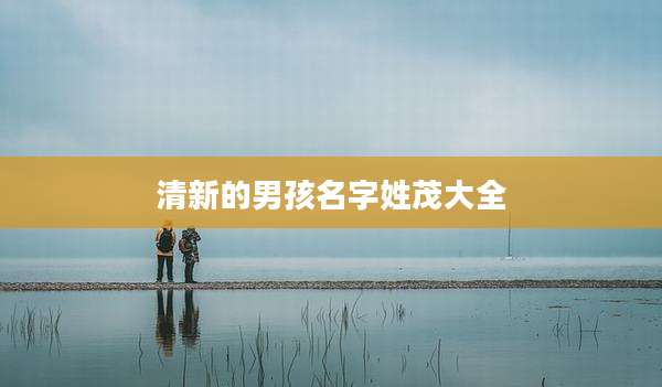 清新的男孩名字姓茂大全