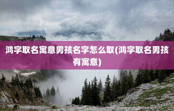 鸿字取名寓意男孩名字怎么取(鸿字取名男孩有寓意)