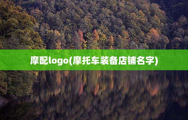摩配logo(摩托车装备店铺名字)