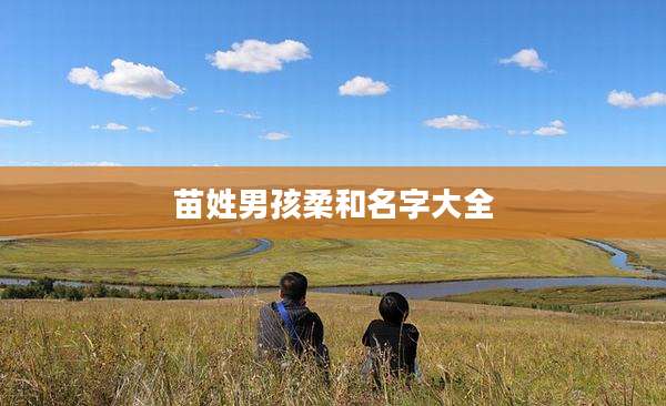 苗姓男孩柔和名字大全