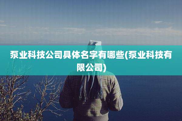 泵业科技公司具体名字有哪些(泵业科技有限公司)