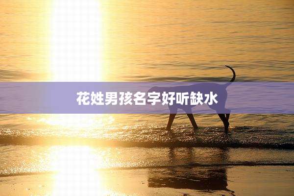 花姓男孩名字好听缺水