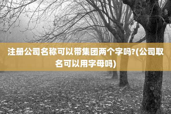 注册公司名称可以带集团两个字吗?(公司取名可以用字母吗)