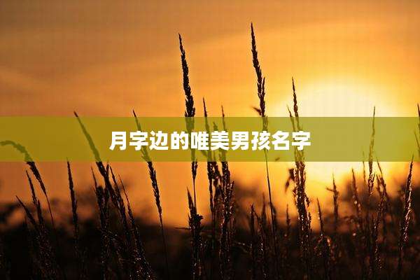 月字边的唯美男孩名字