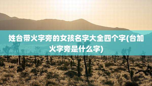 姓台带火字旁的女孩名字大全四个字(台加火字旁是什么字)