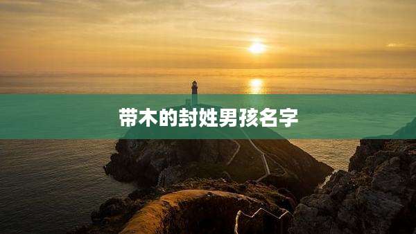 带木的封姓男孩名字