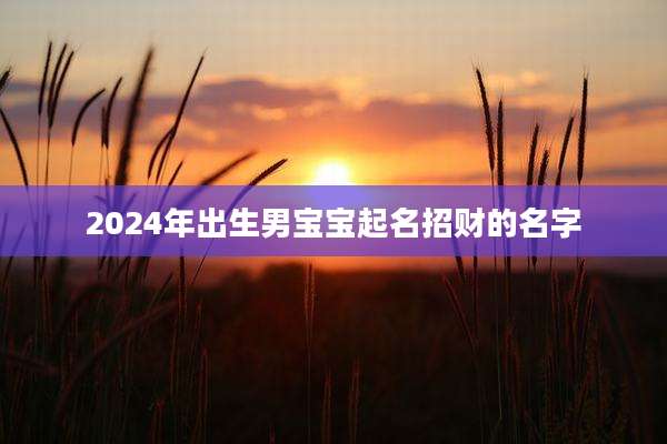 2024年出生男宝宝起名招财的名字