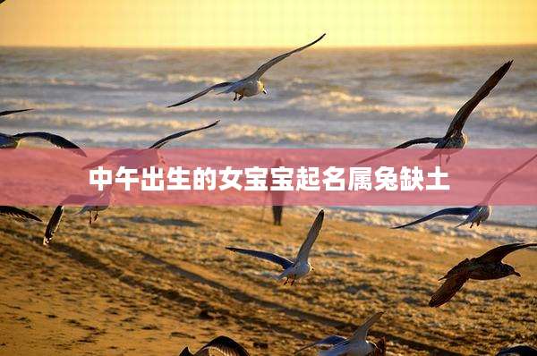 中午出生的女宝宝起名属兔缺土