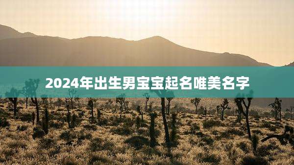 2024年出生男宝宝起名唯美名字
