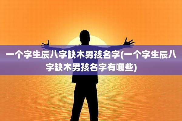 一个字生辰八字缺木男孩名字(一个字生辰八字缺木男孩名字有哪些)