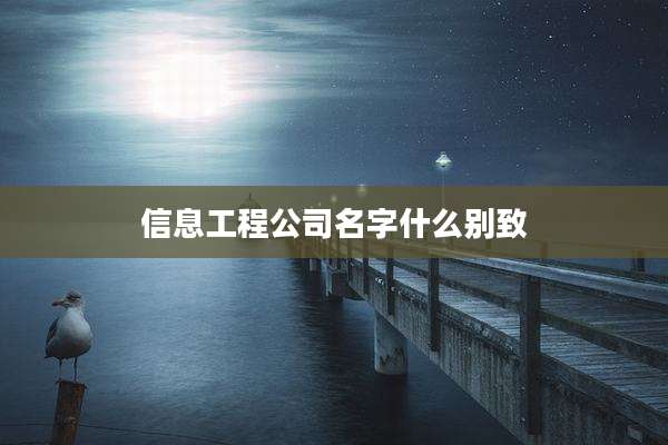 信息工程公司名字什么别致