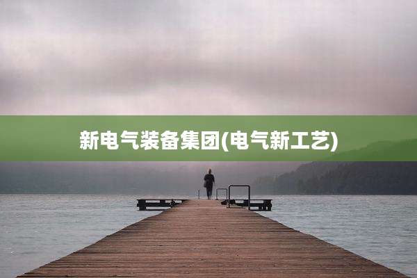 新电气装备集团(电气新工艺)
