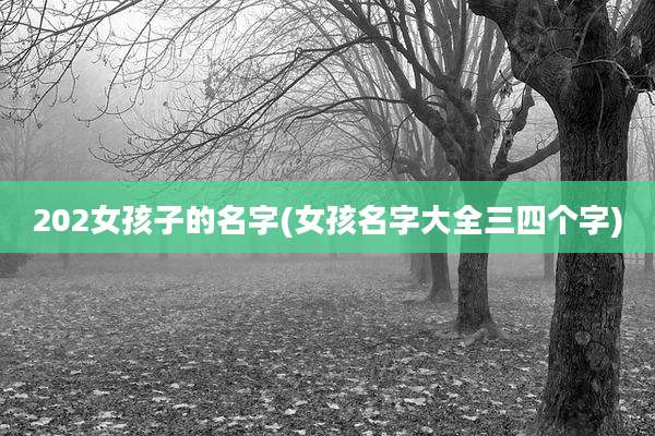 202女孩子的名字(女孩名字大全三四个字)