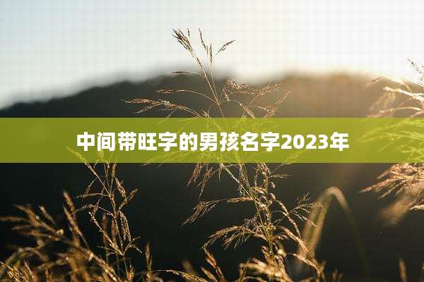 中间带旺字的男孩名字2023年