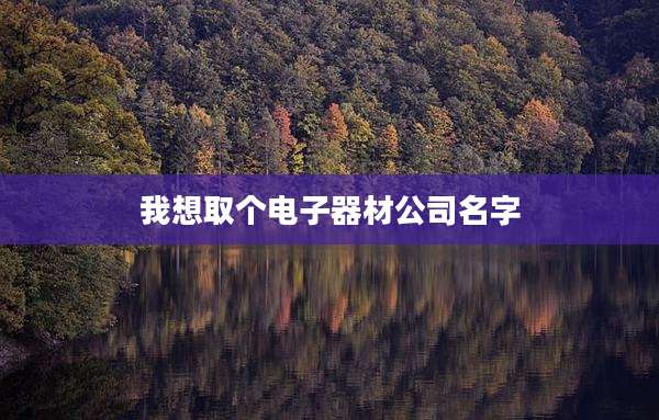我想取个电子器材公司名字