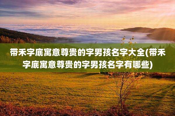 带禾字底寓意尊贵的字男孩名字大全(带禾字底寓意尊贵的字男孩名字有哪些)