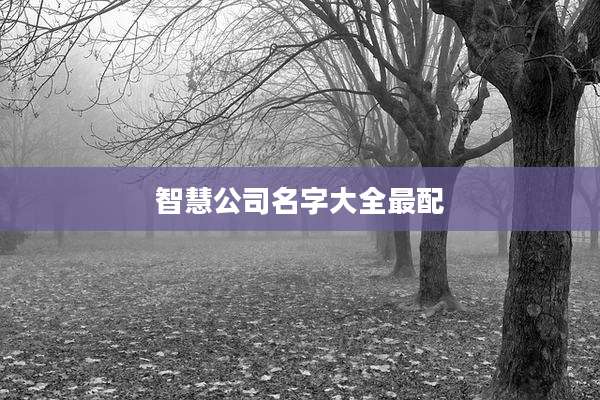 智慧公司名字大全最配
