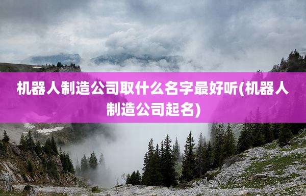 机器人制造公司取什么名字最好听(机器人制造公司起名)