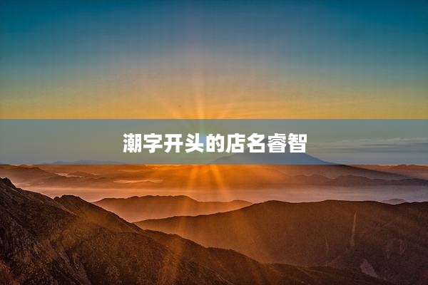 潮字开头的店名睿智