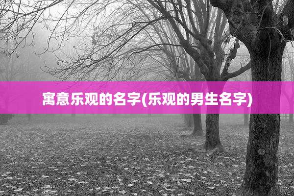 寓意乐观的名字(乐观的男生名字)