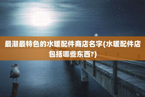 最潮最特色的水暖配件商店名字(水暖配件店包括哪些东西?)