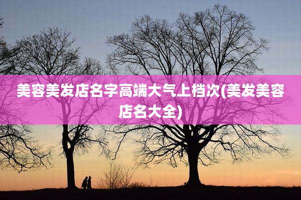 美容美发店名字高端大气上档次(美发美容店名大全)