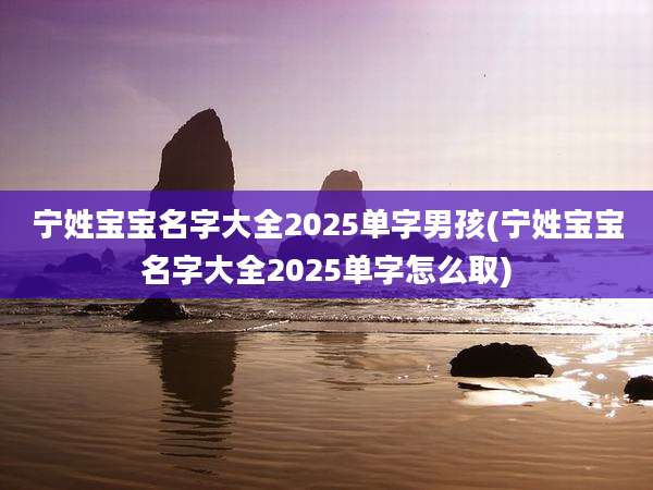宁姓宝宝名字大全2025单字男孩(宁姓宝宝名字大全2025单字怎么取)
