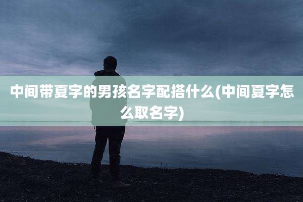 中间带夏字的男孩名字配搭什么(中间夏字怎么取名字)