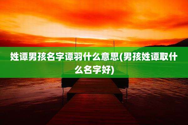 姓谭男孩名字谭羽什么意思(男孩姓谭取什么名字好)