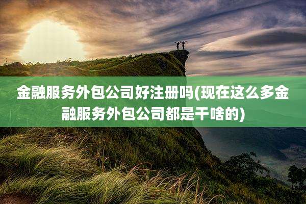 金融服务外包公司好注册吗(现在这么多金融服务外包公司都是干啥的)