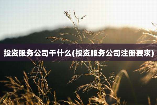 投资服务公司干什么(投资服务公司注册要求)