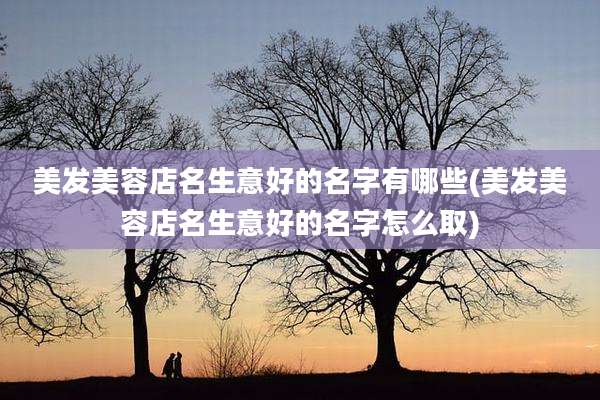 美发美容店名生意好的名字有哪些(美发美容店名生意好的名字怎么取)