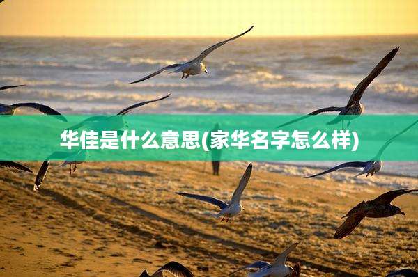 华佳是什么意思(家华名字怎么样)